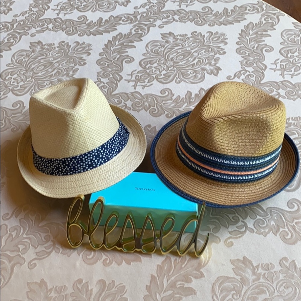 SET of TWO UNIQUE Fedoras